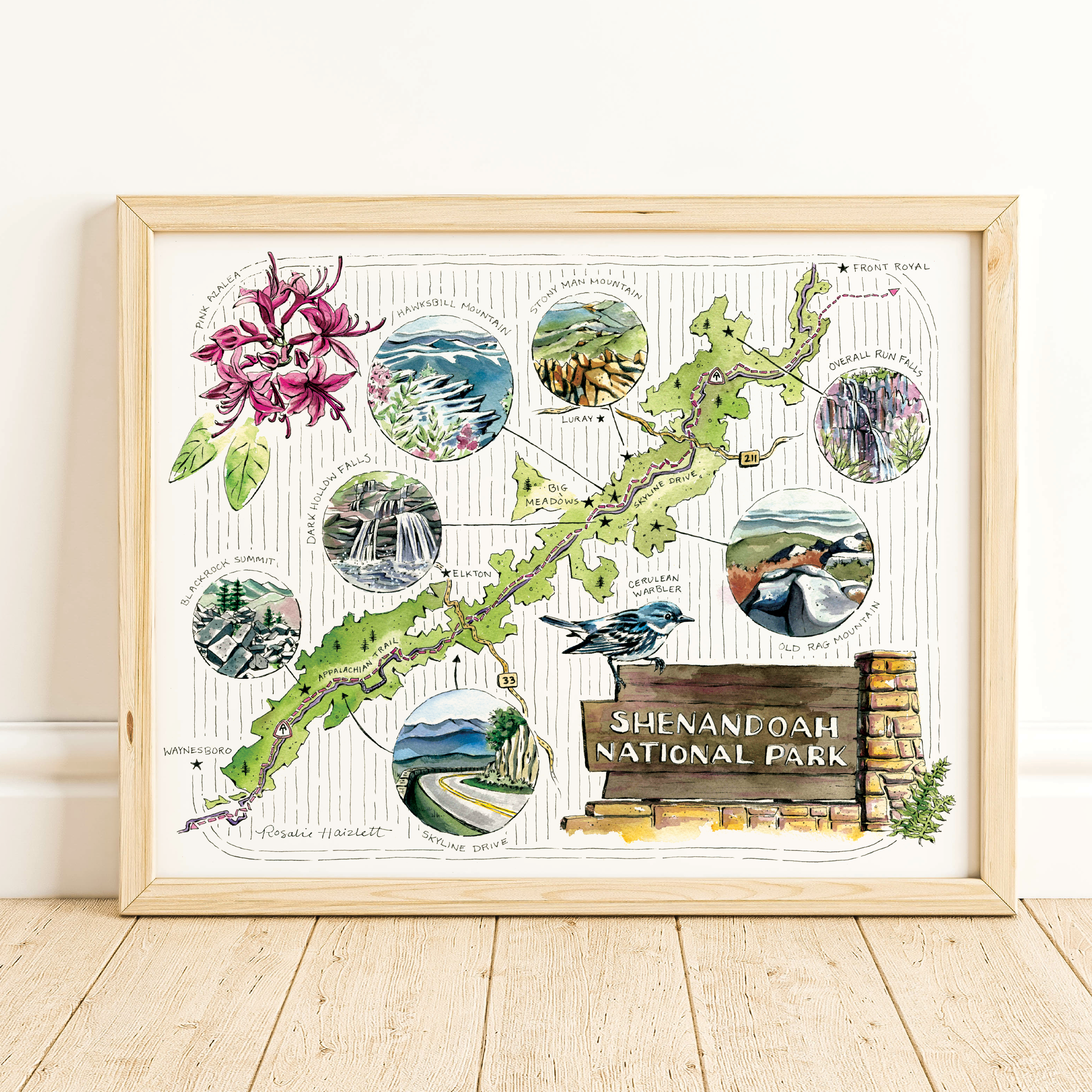 Rosalie Haizlett Illustration - Wholesale Map - Shenandoah National Park Illustrated Map1