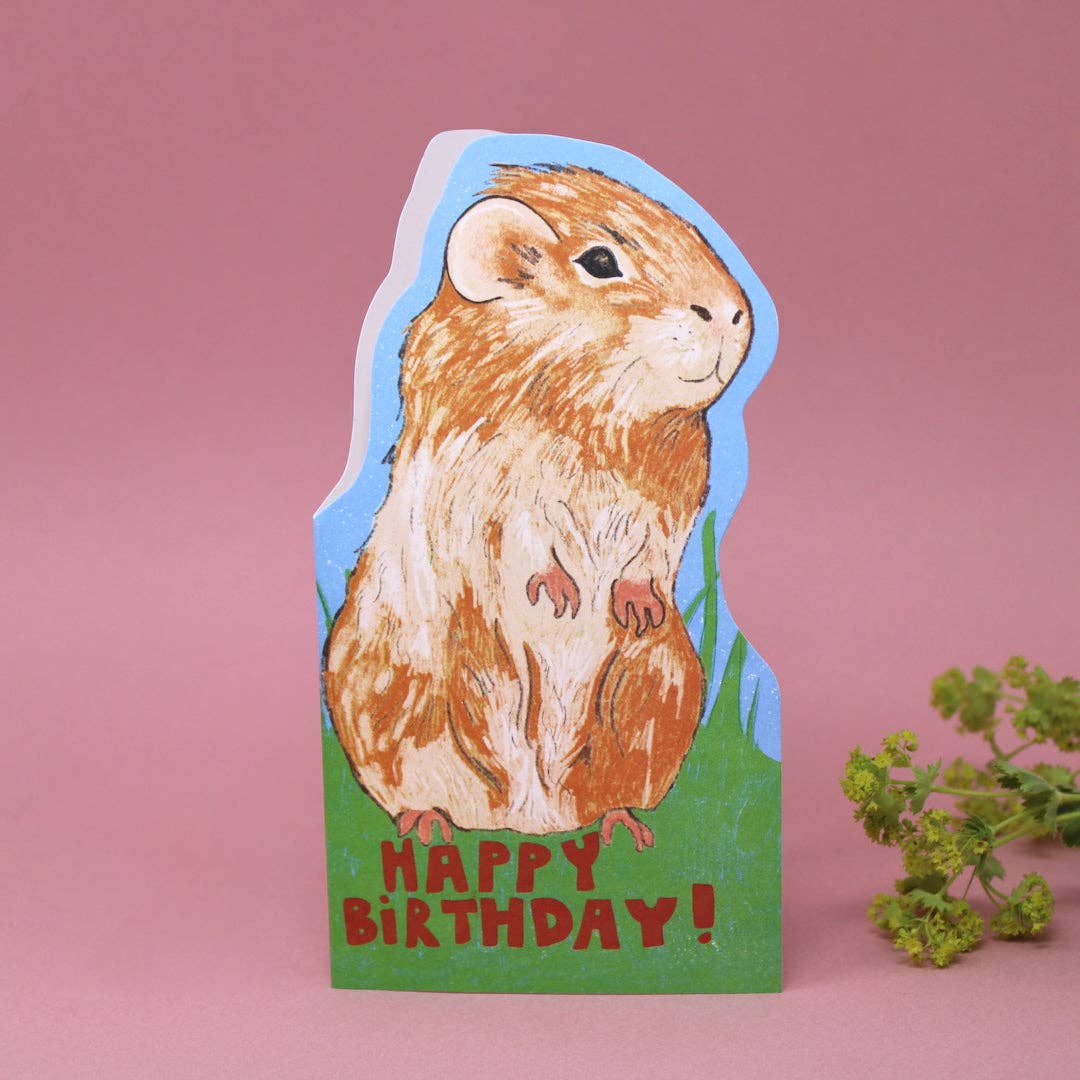 Ark Colour Design - Venta al por mayor Tarjetas de cumpleaños - Tarjeta de felicitación con forma de cobaya3