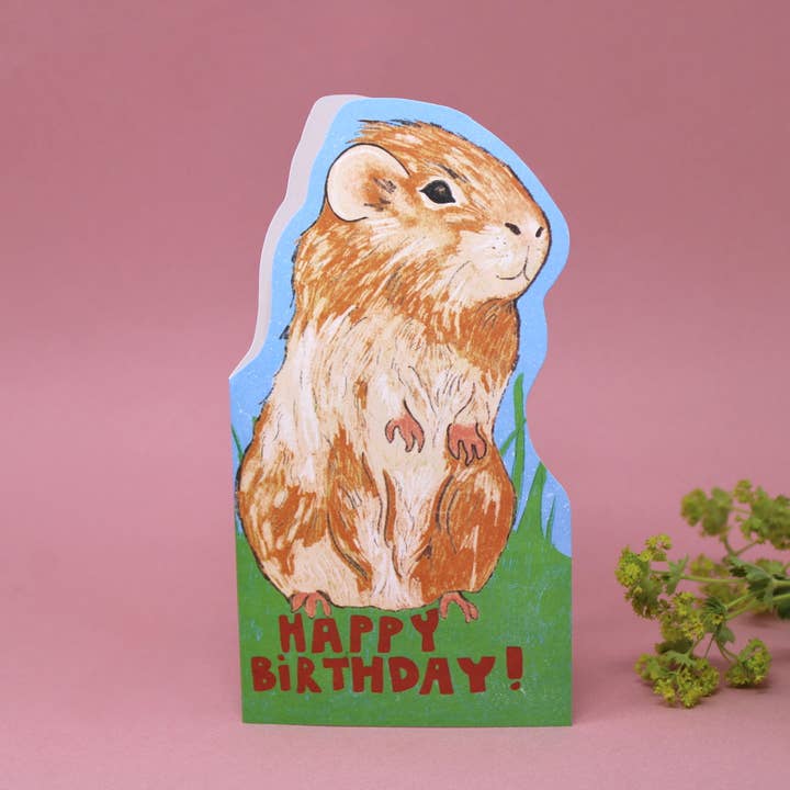 Ark Colour Design - Venta al por mayor Tarjetas de cumpleaños - Tarjeta de felicitación con forma de cobaya3