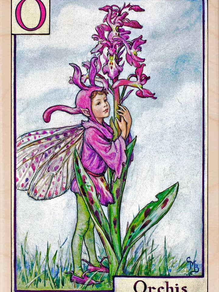 Orchis Fairy - Eco-friendly cards & magnets for wholesale by THE WOODEN POSTCARD COMPANY