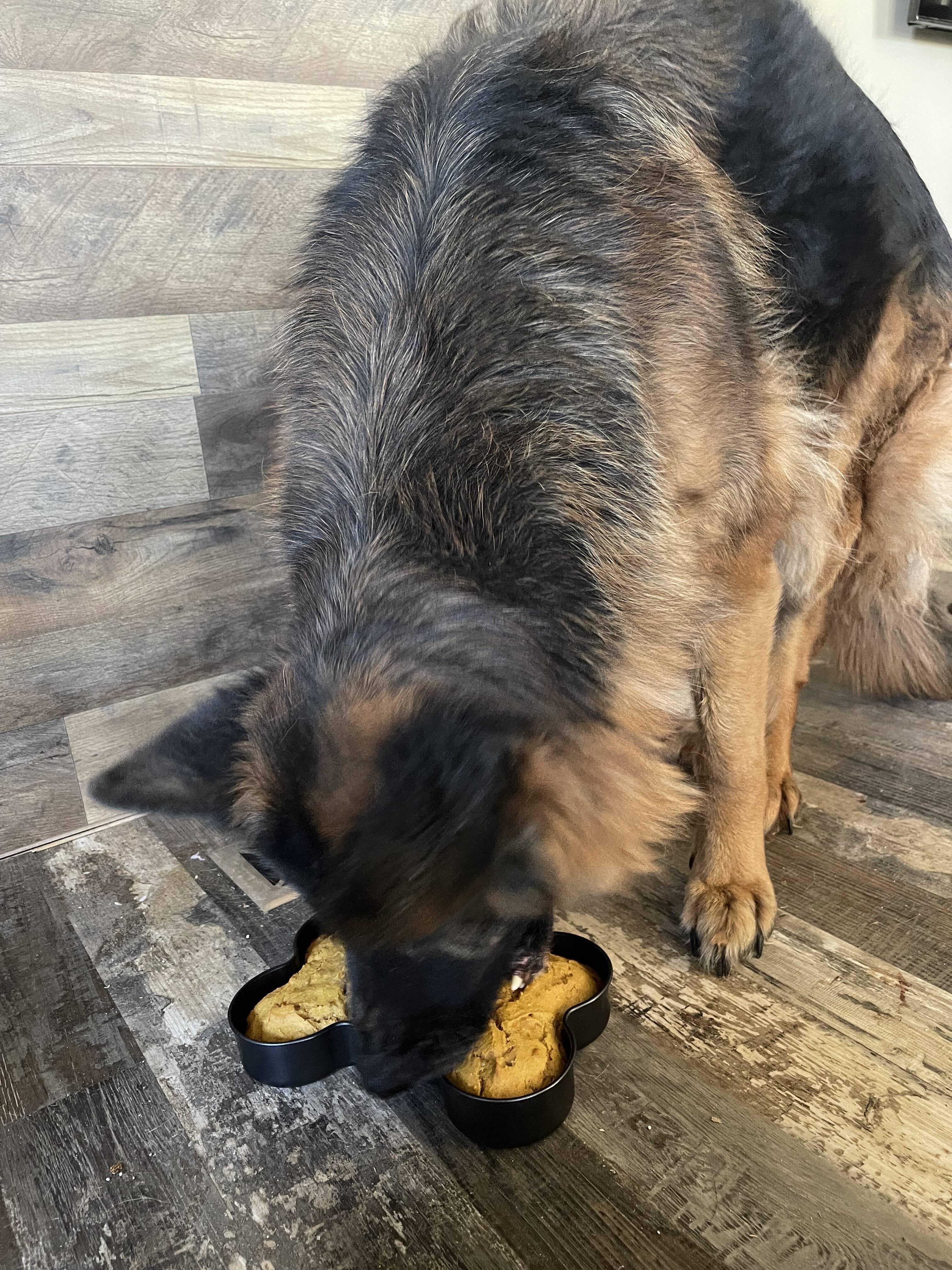 Midlee Designs - Wholesale Cake Pan - Midlee Nonstick Bone Shape Pan (Cake)7