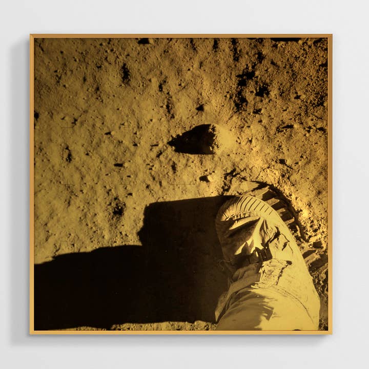 Pilot Buzz Aldrin for wholesale by NC Design group