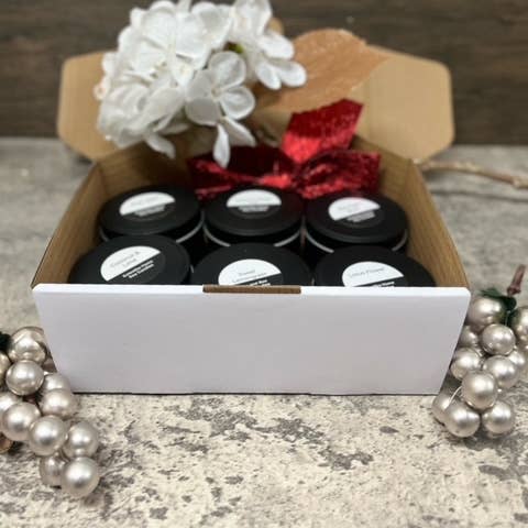 Pacote de 6 Lotes de Viagem Variados Fox and Bee por atacado de Eclectika Home