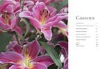 Gibbs Smith - Wholesale Home & Garden - Lilies: Beautiful Varieties for Home & Garden1
