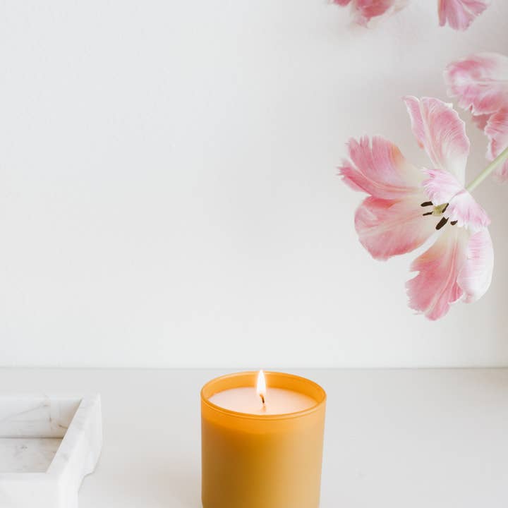 Calyan Wax Co. - Wholesale Jar/Filled Candle - Vetiver + Tonka - Dignity Series Soy Candle
