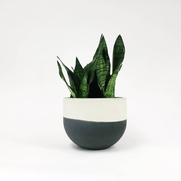 Settlewell - Wholesale Plant Pot - 9" Concrete Bowl Planter / 13 Colors6