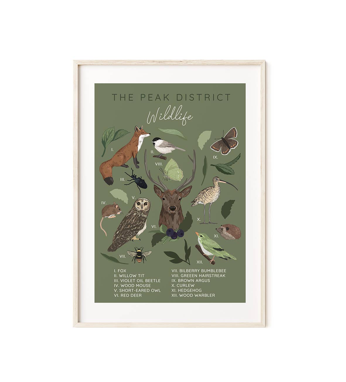 Wildwood Paper - Wholesale Art Print - The Peak District Wildlife A4/A3 Illustrated Animal Print