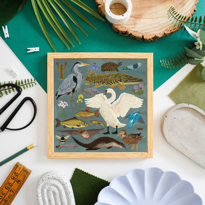 Ferne Creative - Wholesale Art Print - British Waterway Wildlife Print2