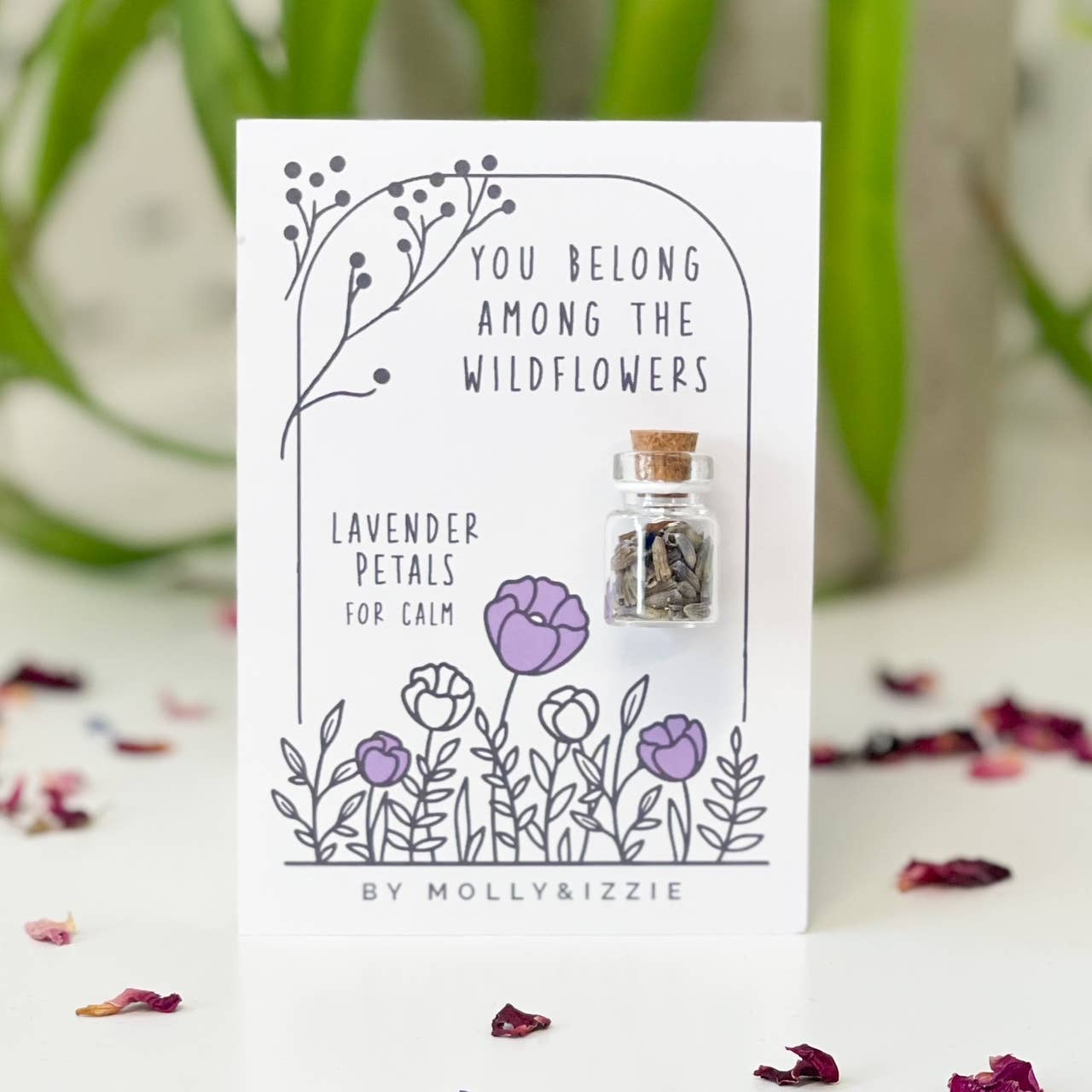 by Molly&Izzie - Wholesale Dried/Pressed Flowers - Flower Petals in Jar - Lavender