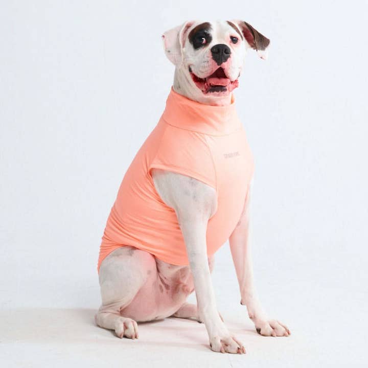 Spark Paws - Wholesale Pet shirt – Dog - Sunblock Dog T-Shirt - Peach4