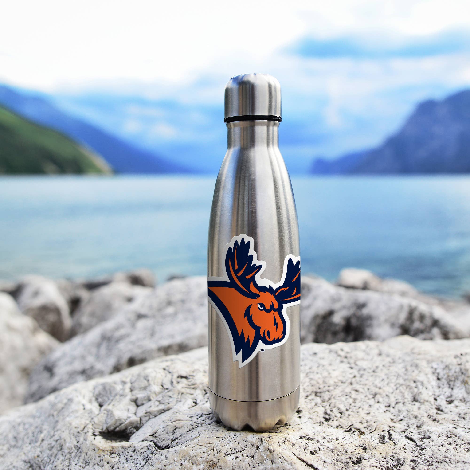 Rico Industries - Vente Breloque décorative pour voiture – unisexe - Autocollant découpé moyen NCAA Utica Pioneers3