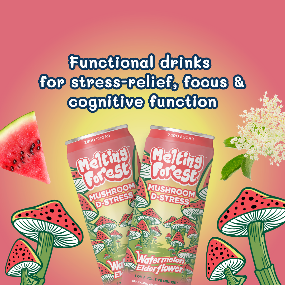 Melting Forest - Wholesale Sparkling Water - Mushroom Drink | Stress Relief | Watermelon Elderflower 7
