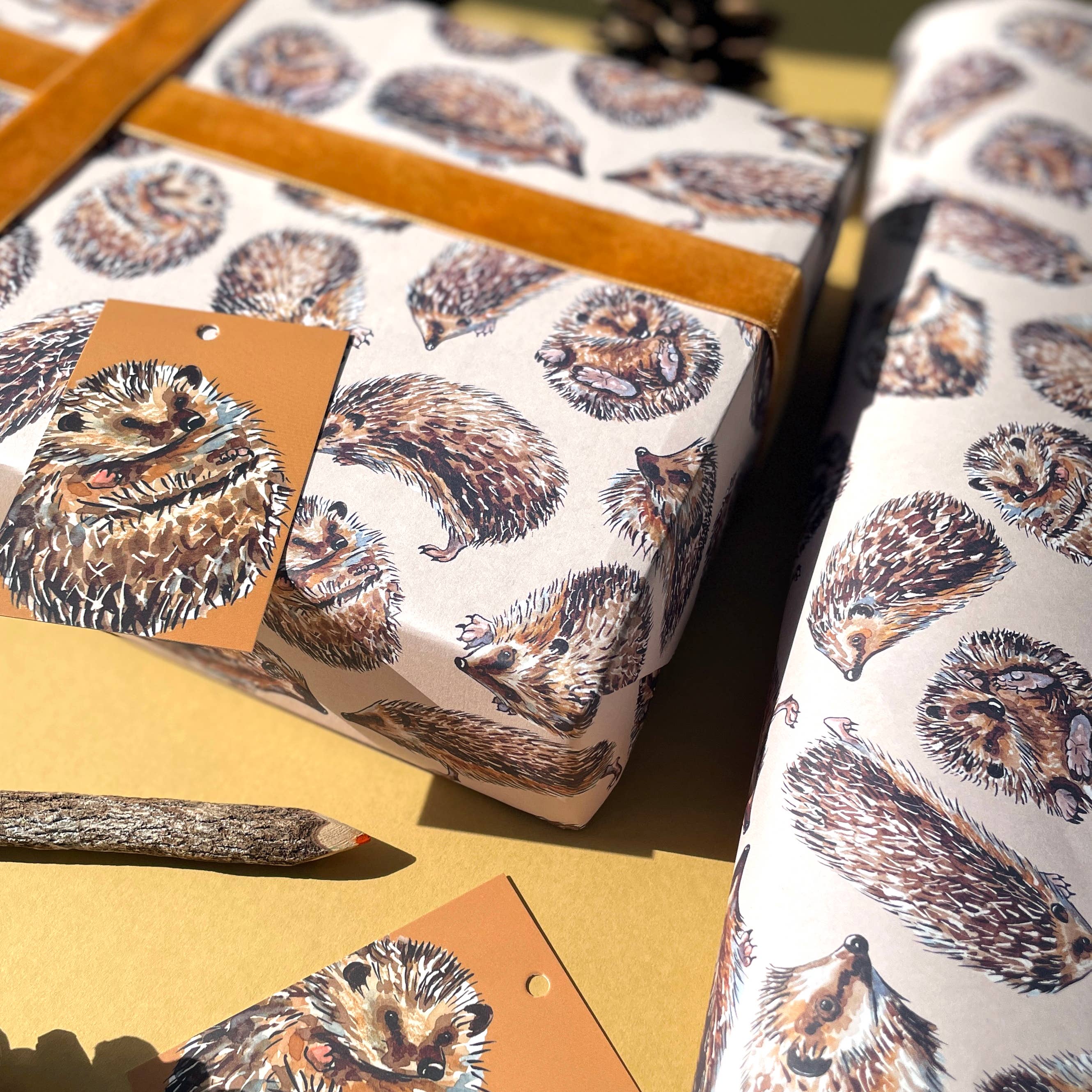 Alexia Claire Ltd - Wholesale Flat Wrap - Hedgehog wrapping paper Sheets5