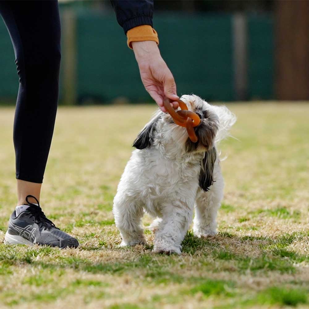 POCURULL SL (Retorn) - Wholesale Kauwspeeltje voor honden - Hond - Rub Chain honden speelgoed - M4