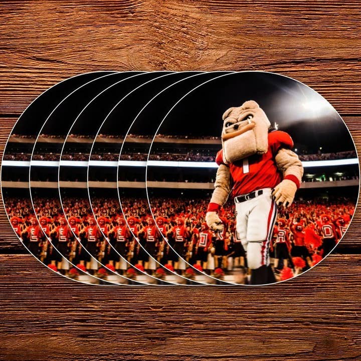 Georgia Bulldogs Hairy Dawg Hype Mascot Mini klisterpåfyllning - UGA Gifts & Tailgating för wholesale av Wright Photo