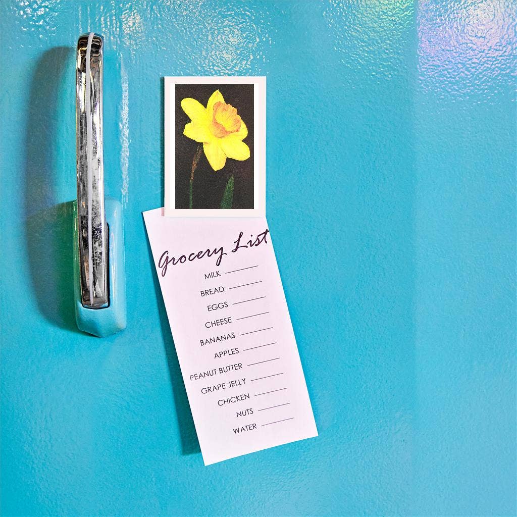Found Image Press - Wholesale Magnet - Magnet FP-13 Daffodil1