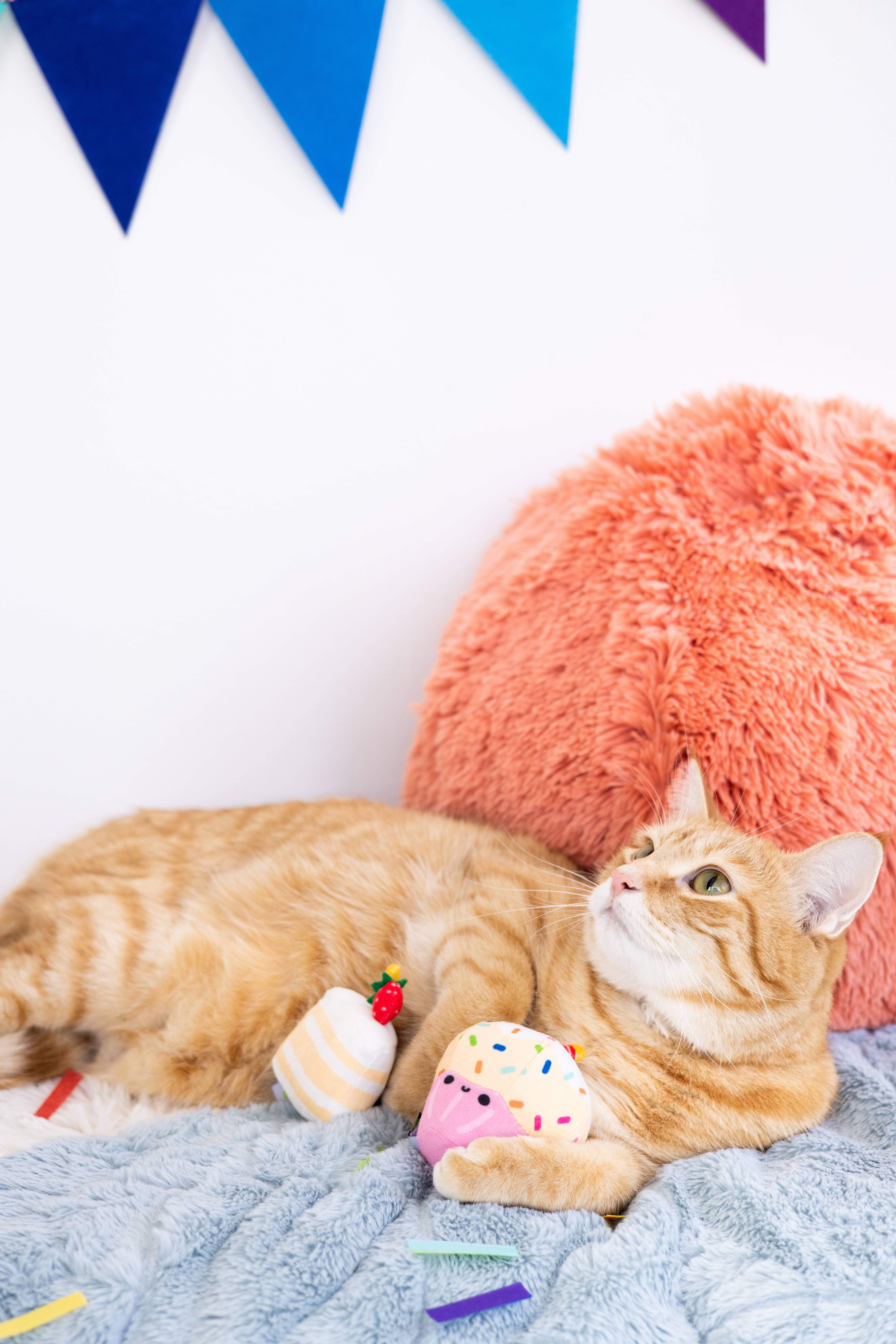 Pearhead - Wholesale Pet Toy Set - Cat - Birthday Cake Cat Toy Set2