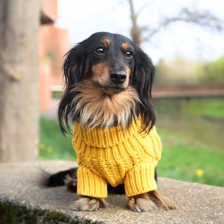 Dog Cable Knit Jumper - Mustard for wholesale on Faire6