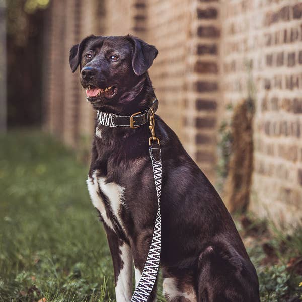 Hey Lana - Wholesale Pet Leash - Dog - Premium dog leash - 3-way adjustable - 2m - black