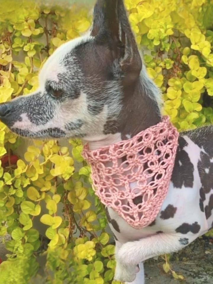 Terebinthia LUXE Halstuch für den Großhandel von Leni Knits Limited