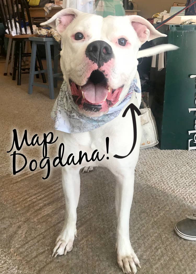 Maritime Tribes LLC - Wholesale Pet Bandana - Dog - Bandana  aka Dogdana -Doggie Bandana15