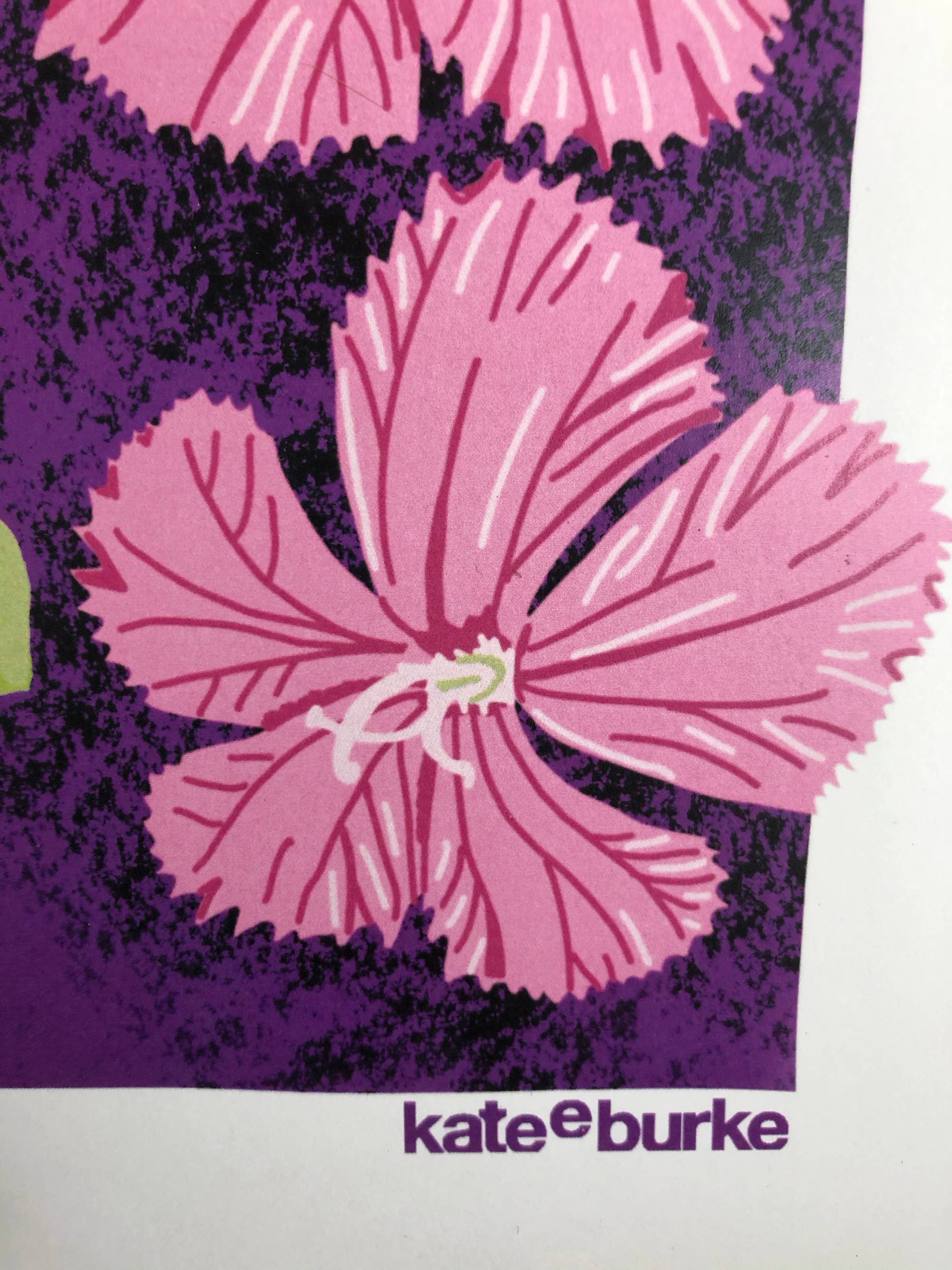 Kate E. Burke - Wholesale Art Print - Bird Series: Gouldian Finch 11x14 Digital Print4