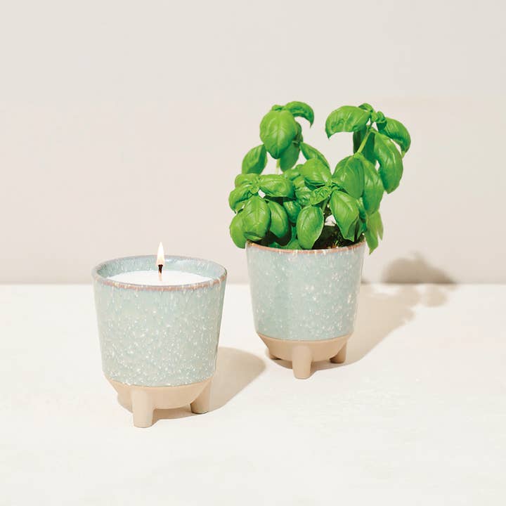 Modern Sprout - Wholesale Jar/Filled Candle - Glow & Grow 2-in-1 Candle + Grow Kit