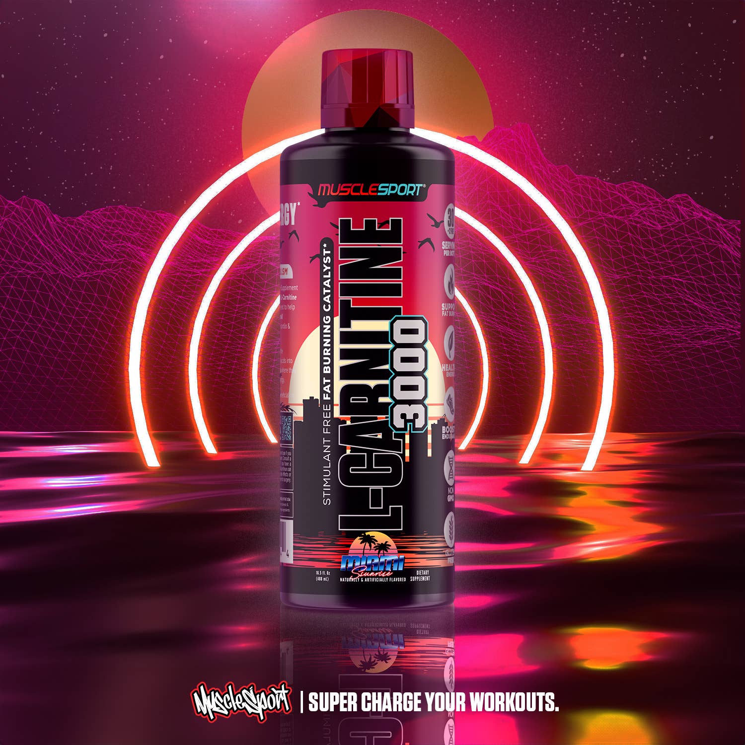 MuscleSport – Großhandel Nahrungsergänzungsmittel/Vitamin zum Einnehmen – L-Carnitin 3000 - 32 Portionen - 16,5 fl oz.3