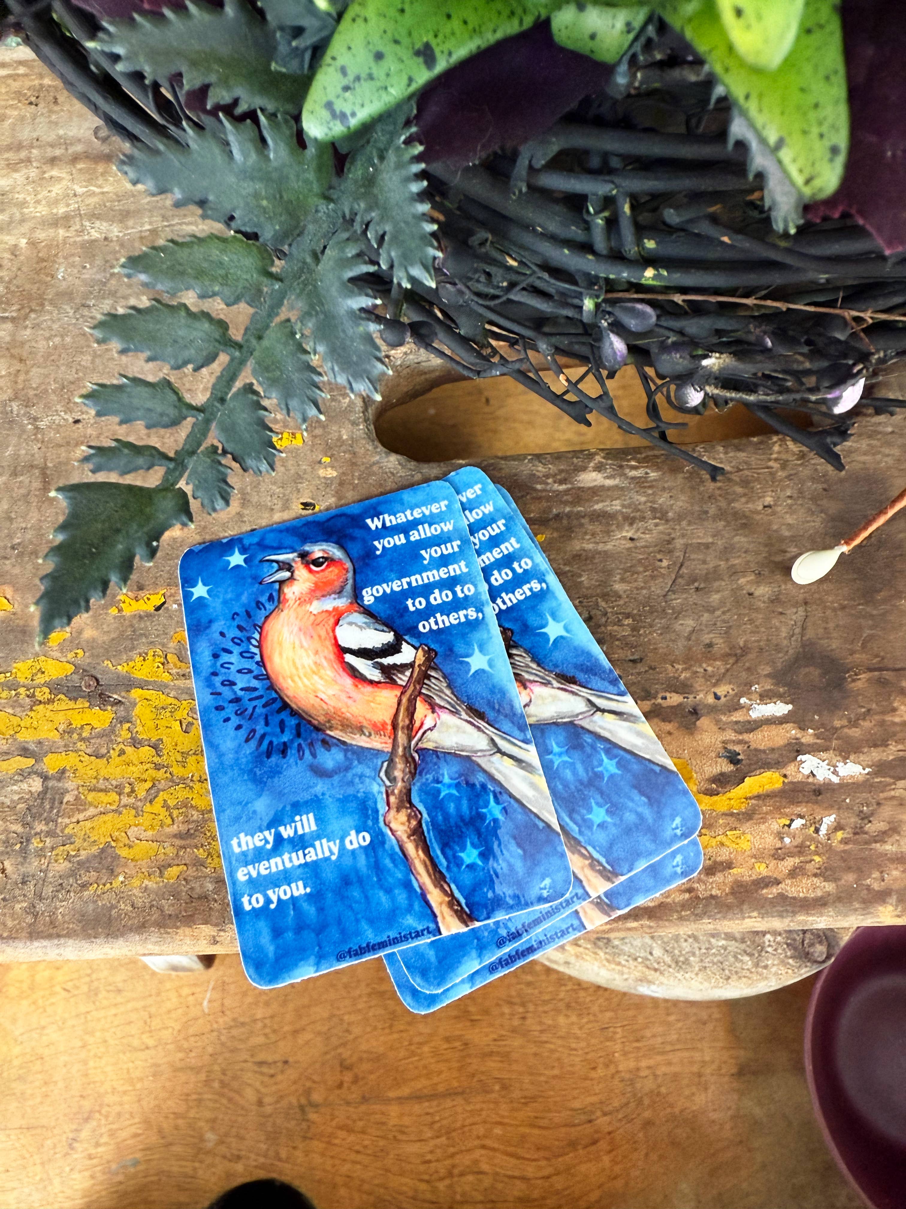 Fabulously Feminist - Wholesale Sticker - Whatever you allow your government to do to others: sticker4