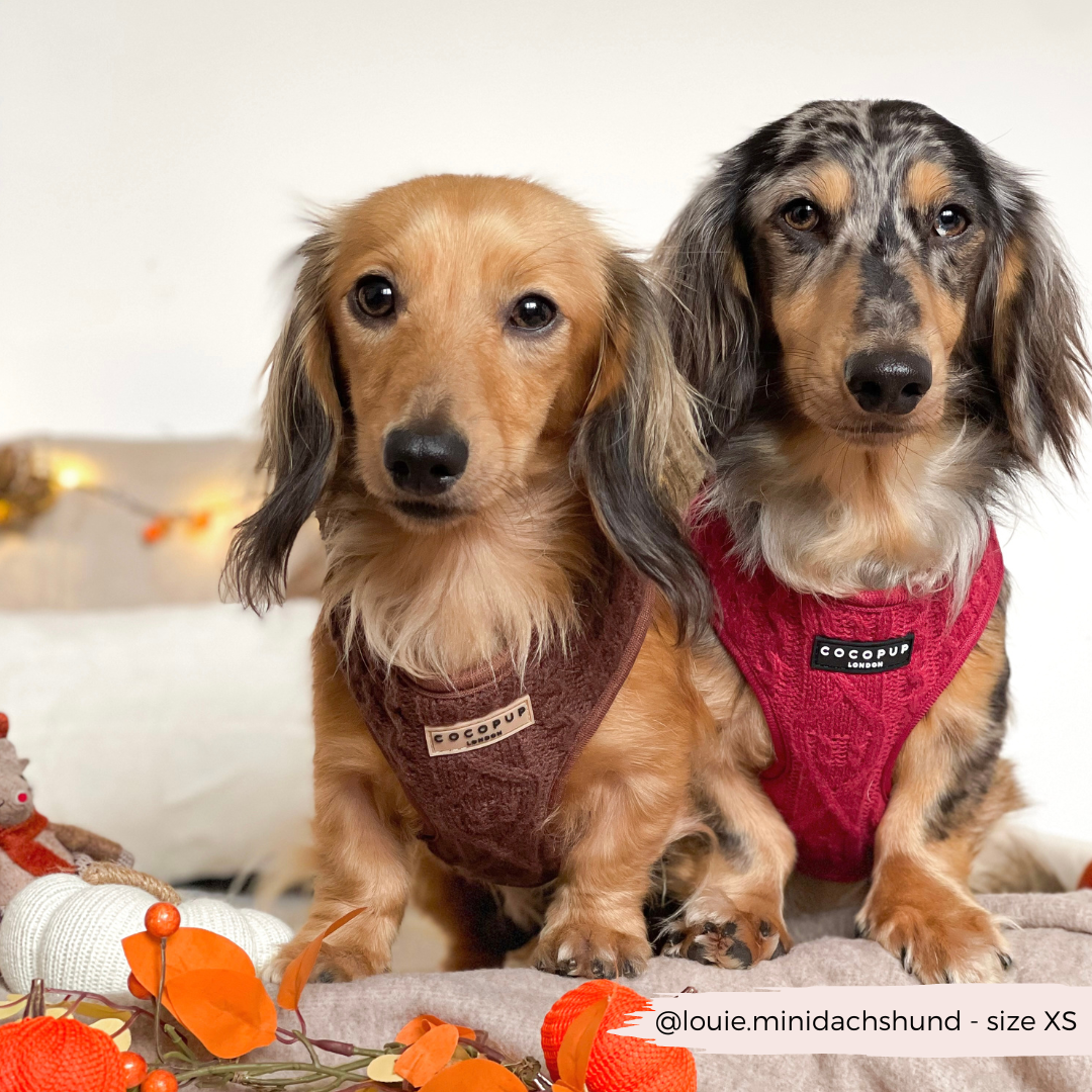 Cocopup London - Wholesale Pet Harness - Dog - Cable Knit Jumper Adjustable Neck HARNESS - Mulled Pup Wine8