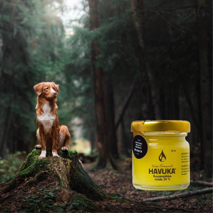 SPRUCE RESIN BALM – FOR ANIMALS – ELIAS LÖNNROT HAVUKA for wholesale by Havuka