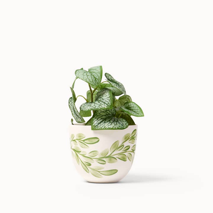 Franca - Wholesale Plant Pot - Meadow Willow Planters (gloss)9