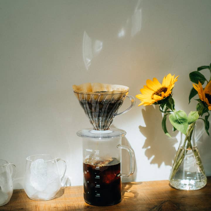 HARIO USA - Wholesale Pour Over & Dripper - Crafts Science Beaker Server