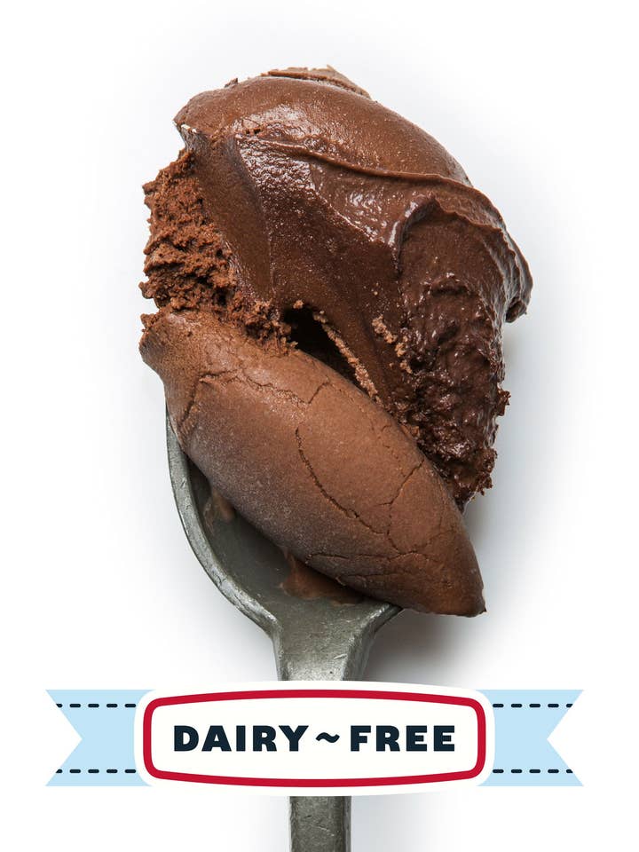 Dark Chocolate Sorbet for wholesale by McConnell's Fine Ice Creams