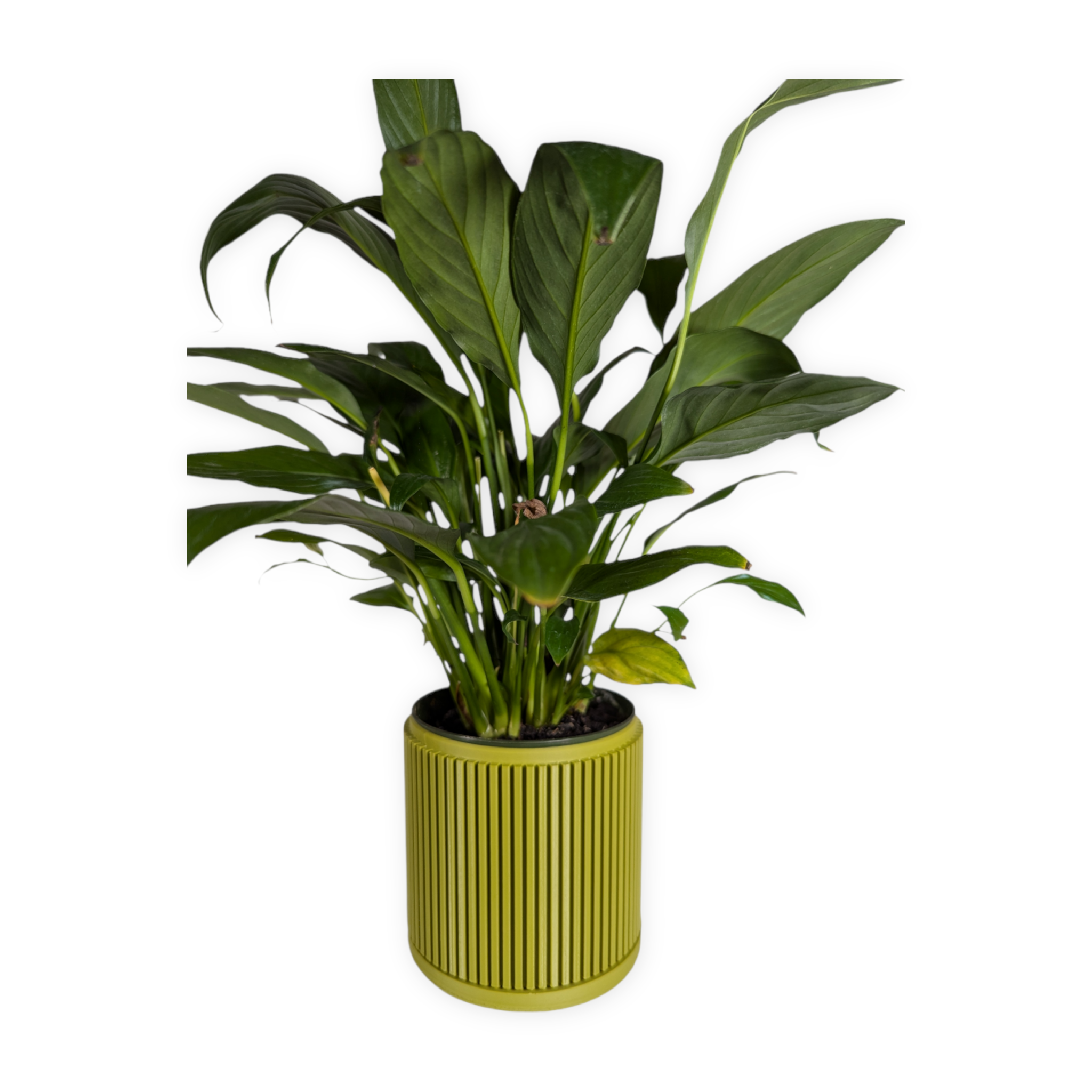 Leafprints.3d - Wholesale Plant Pot - The Willow – 4 Inch Planter with Drip Tray5