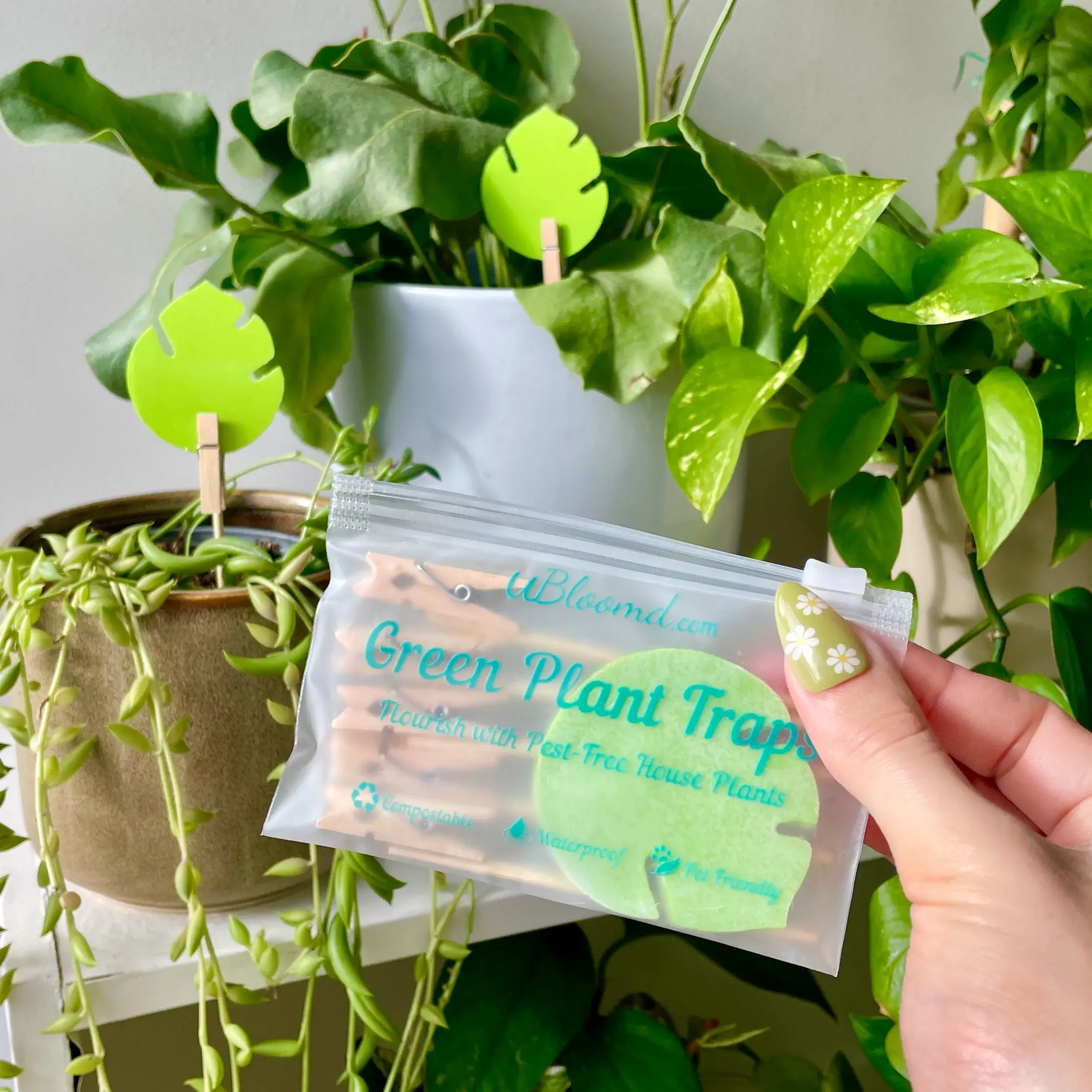 uBloomd - Wholesale Garden tool - Monstera Leaf Green Plant Traps2