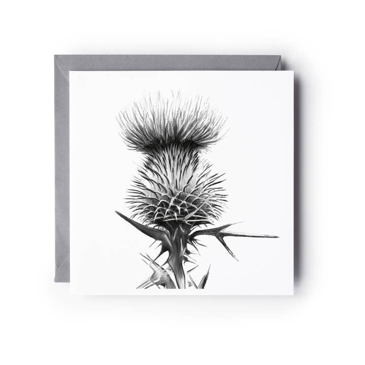 Hand Drawn Thistle Greeting Card – Black and White Botanical for wholesale by Libra Fine Arts