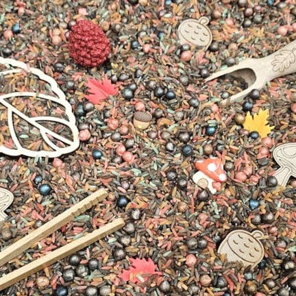 Kiddi - Wholesale Toy Set - Kids - Pour and Play Autumn - Sensory Fun1