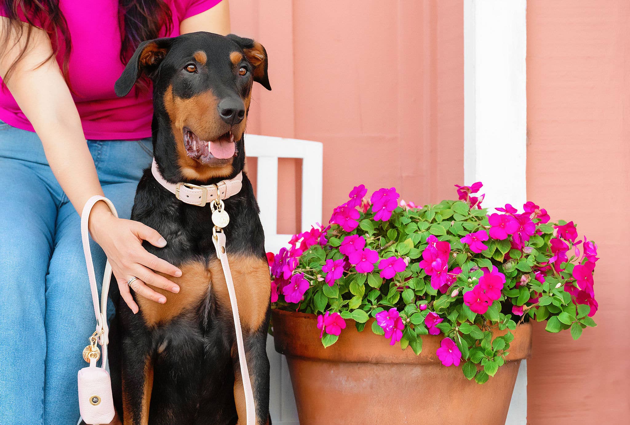 Neighborwoof - Wholesale Pet Collar - Dog - Blush Dog Collar3