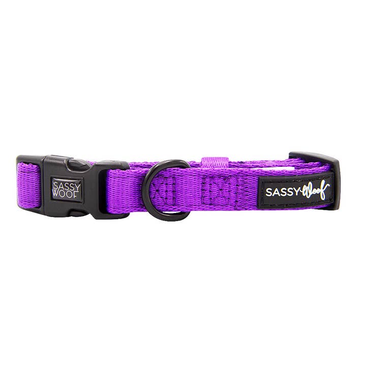 SASSY WOOF - Wholesale Pet Collar - Dog - Dog Collar - Neon Purple