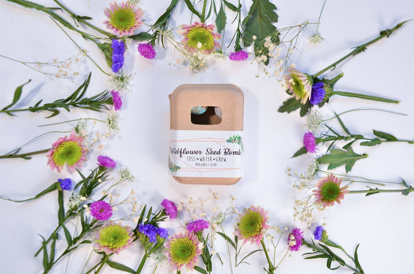 Almas And Co – wholesale Plant seeds – Wildflower Seed Bomb Box6