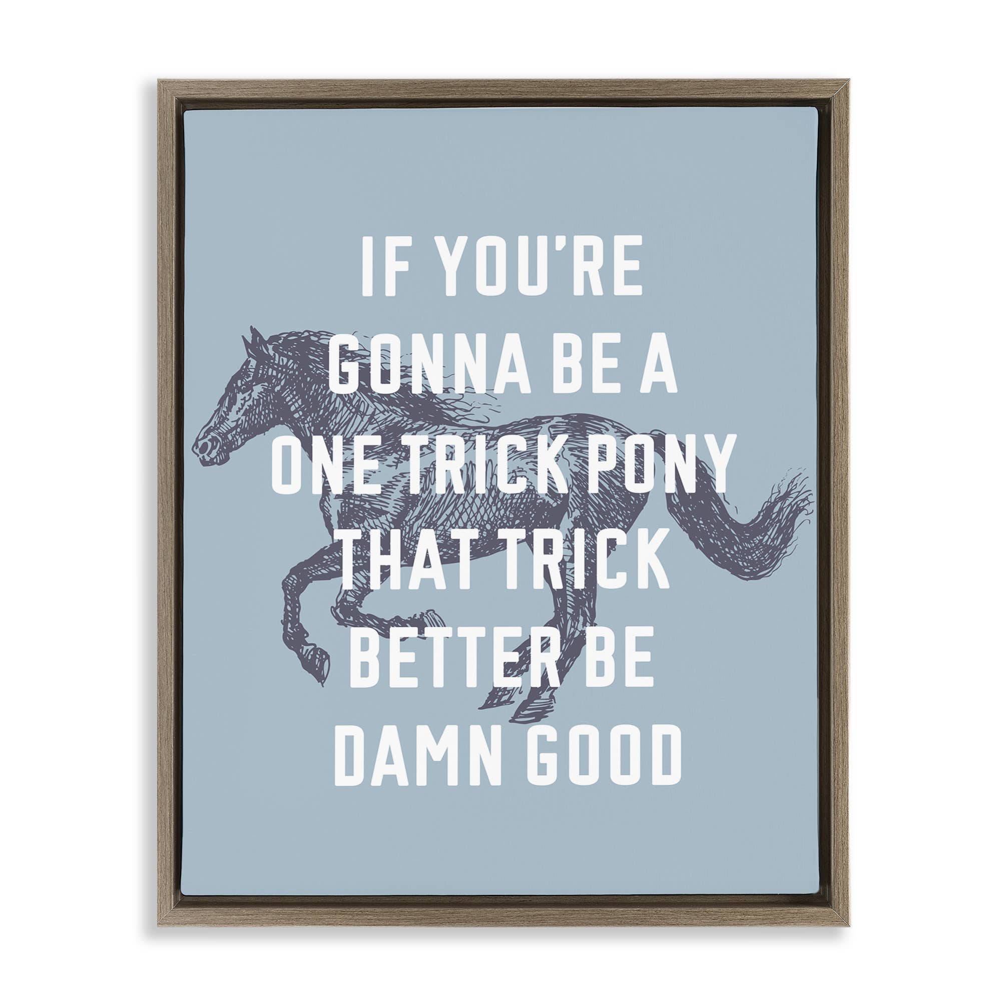 Stupell Industries - Wholesale Wall Decor - Kids & Baby - One Trick Pony Phrase Floater Framed Art9