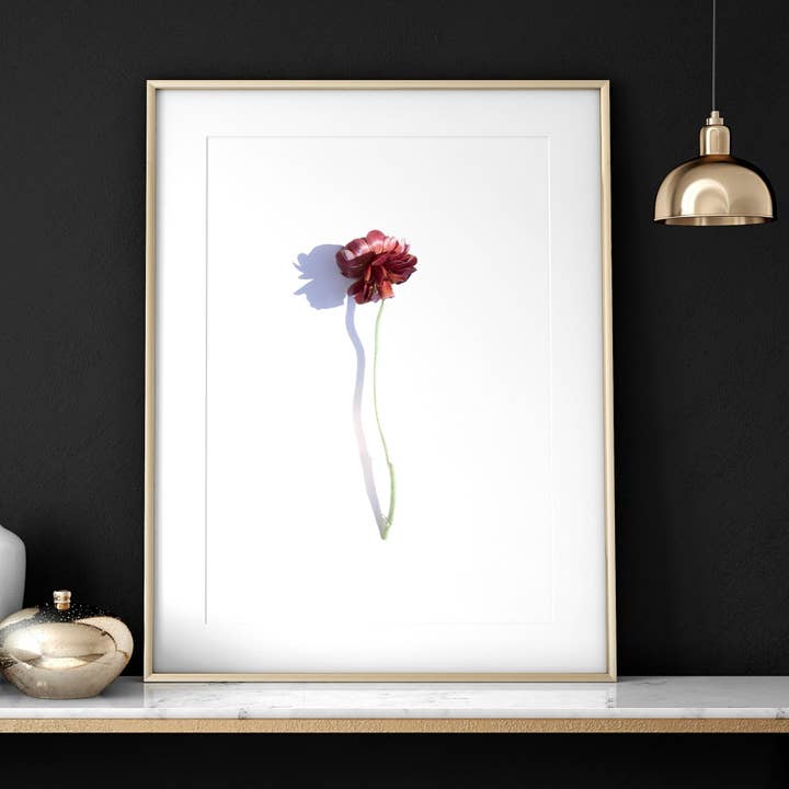 Prints with flowers | set of 3 wall art prints for wholesale by About Wall Art