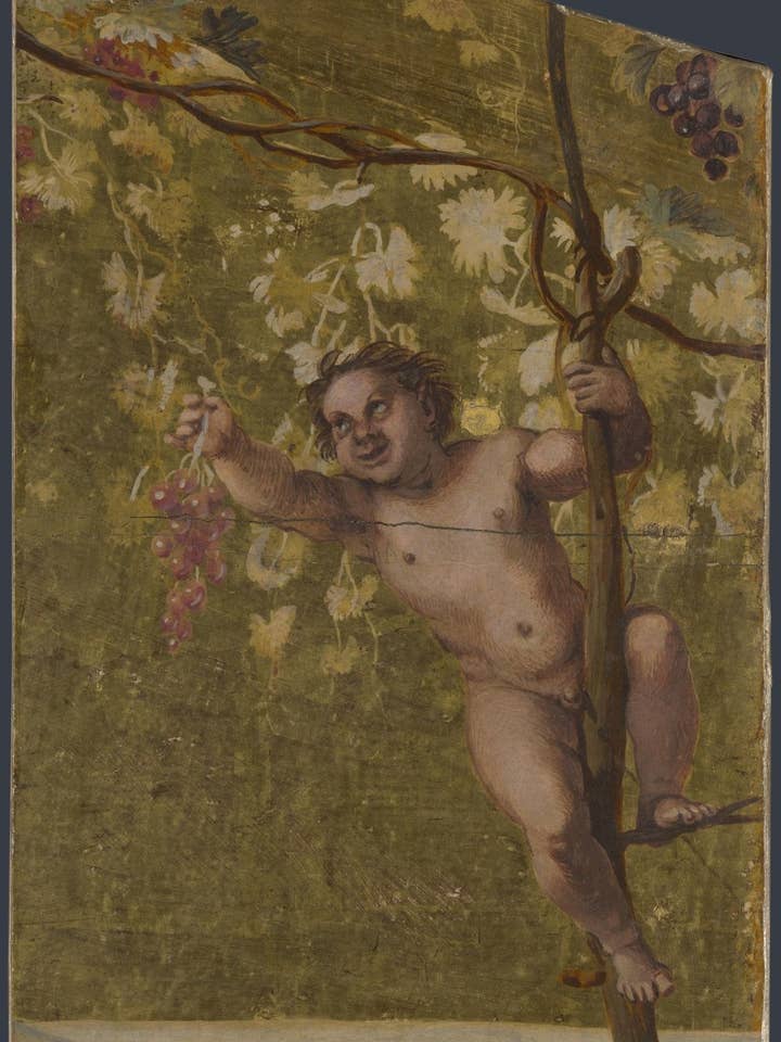 Annibale Carracci Putto druiven verzamelend, Poster in 17x13" (A3) lijst voor wholesale door PERIOD PRINTS