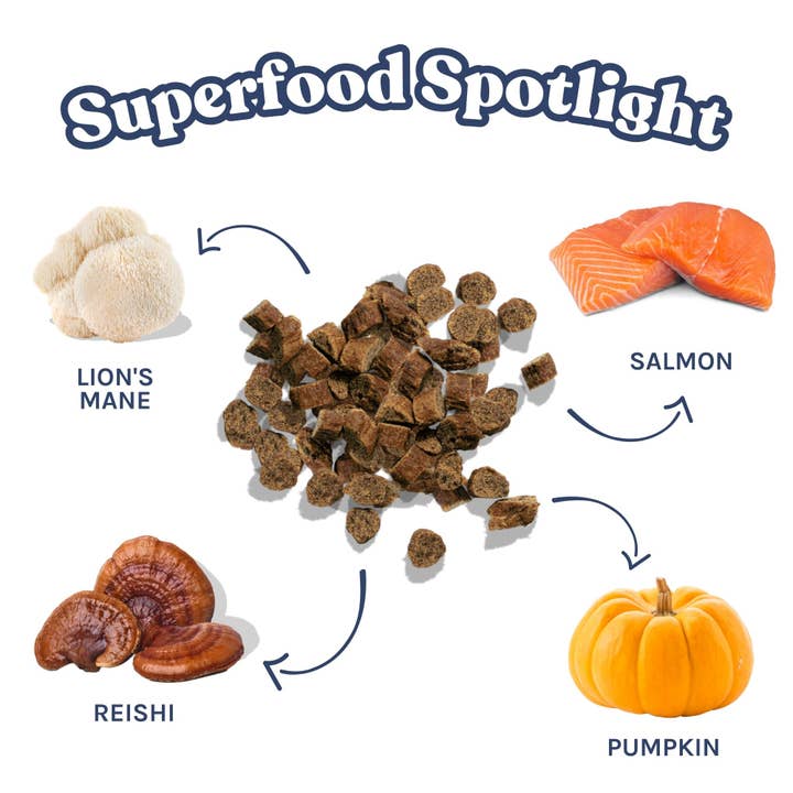 Healthybud - Wholesale Pet Treats - Dog - Healthybud's Functional Salmon Mini Training Treat for Dogs