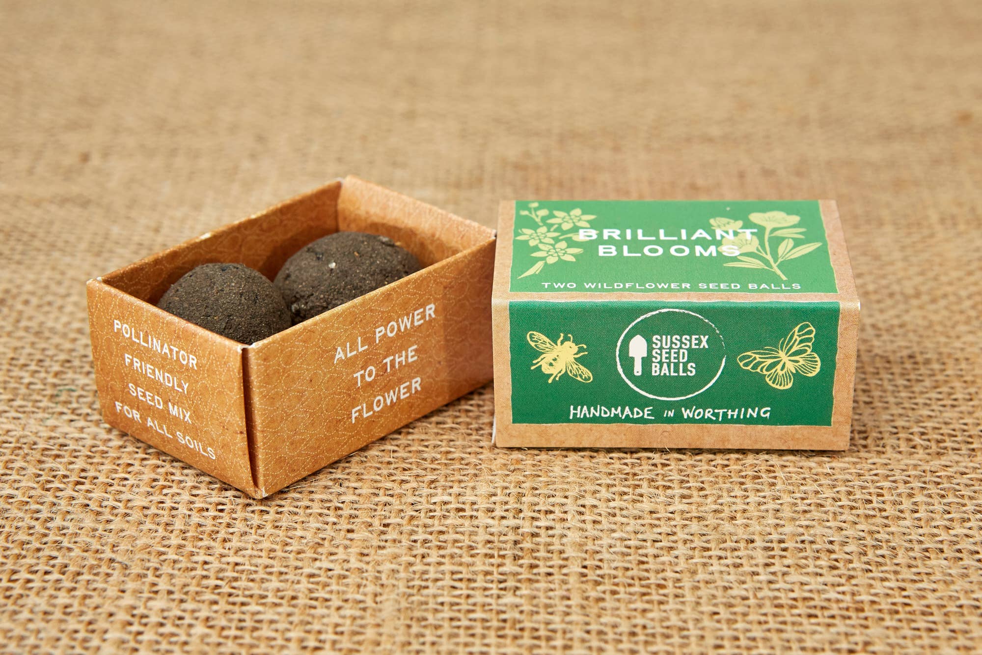 Sussex Seed Balls - Vente Graines de plantes - Coffret cadeau Brilliant Blooms, avec deux boules de graines de fleurs sauvages1