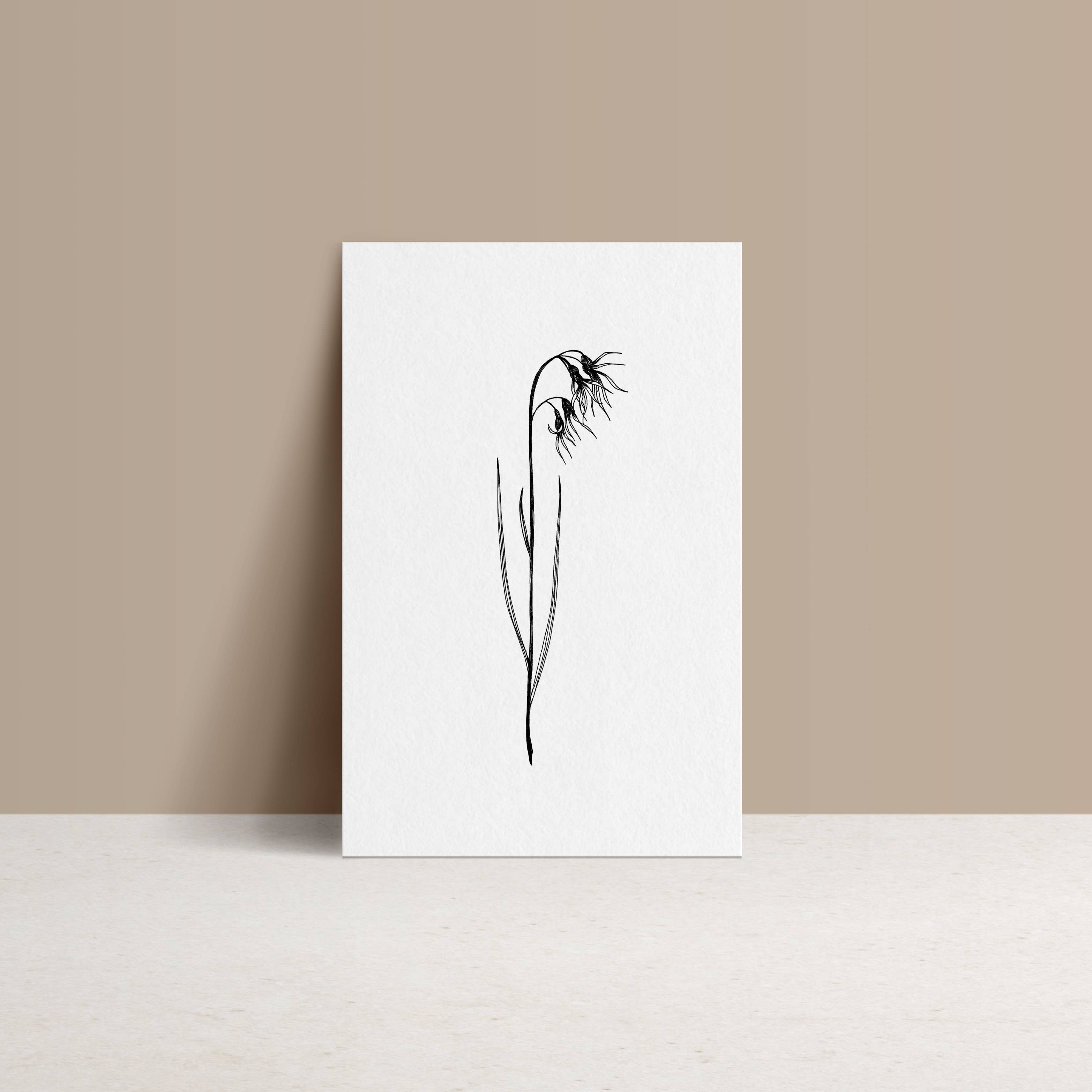 monocotylédone - Wholesale Everyday Greeting Card - Alpine Paturin - Double Card and Kraft Envelope1