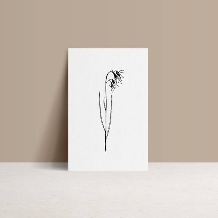 monocotylédone - Wholesale Everyday Greeting Card - Alpine Paturin - Double Card and Kraft Envelope1