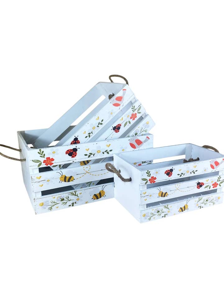 Trio de boîtes décoratives API E COCCINELLE pour la vente par Capra Attilio