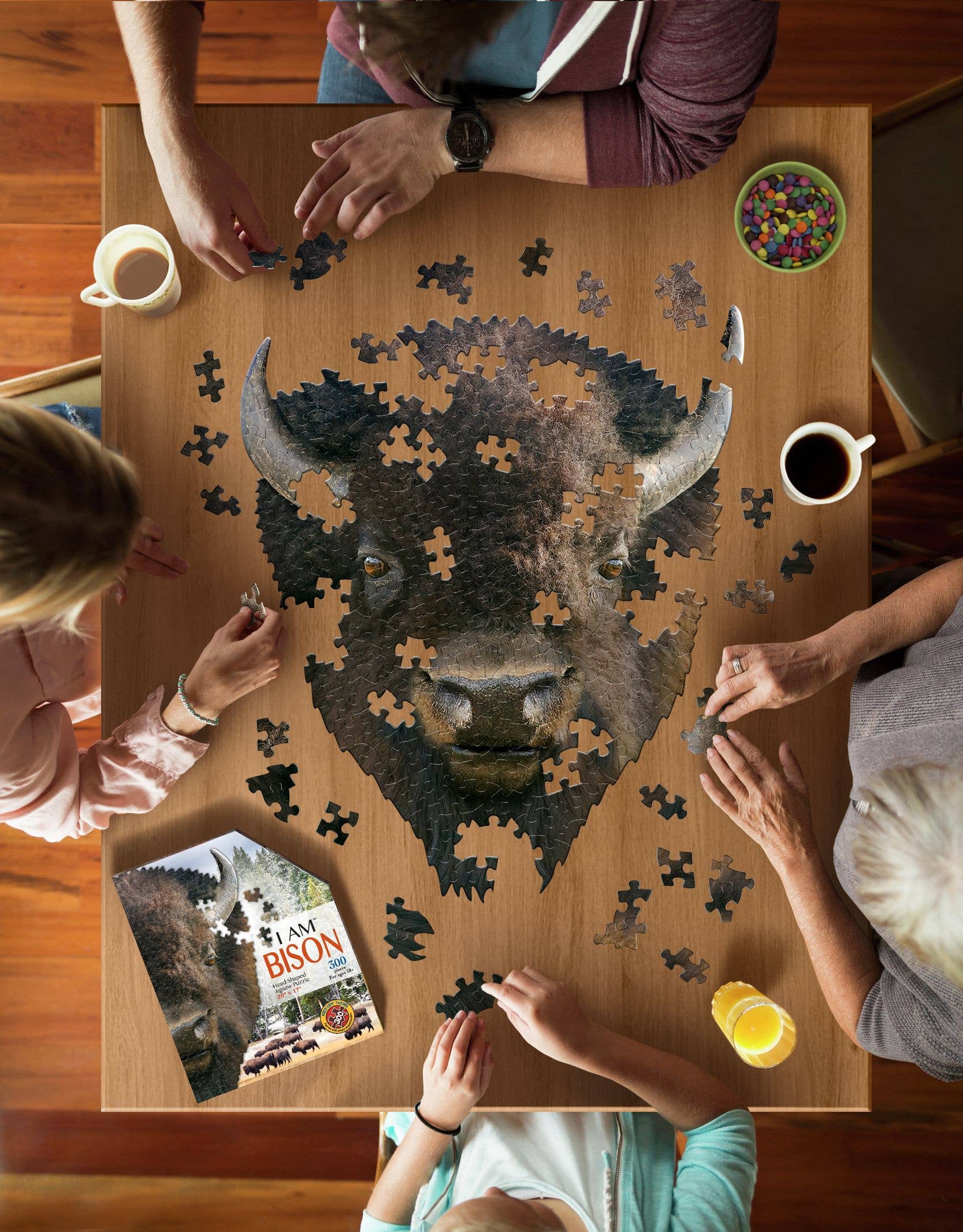 Madd Capp Games & Puzzles - Wholesale Puzzle - Adult - I AM Bison 300 piece jigsaw puzzle gift4